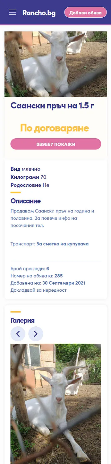 Дизайн на страница Rancho.bg